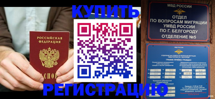прописка 2025 в Петровске